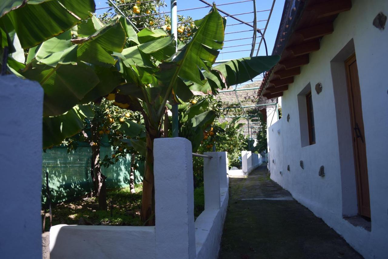 Apartmán Casa Camino Tamadaba Agaete  Exteriér fotografie