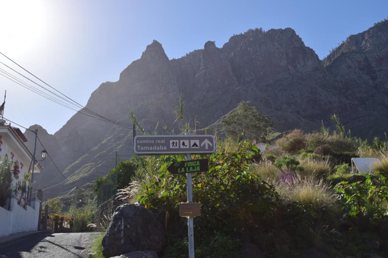 Apartmán Casa Camino Tamadaba Agaete  Exteriér fotografie