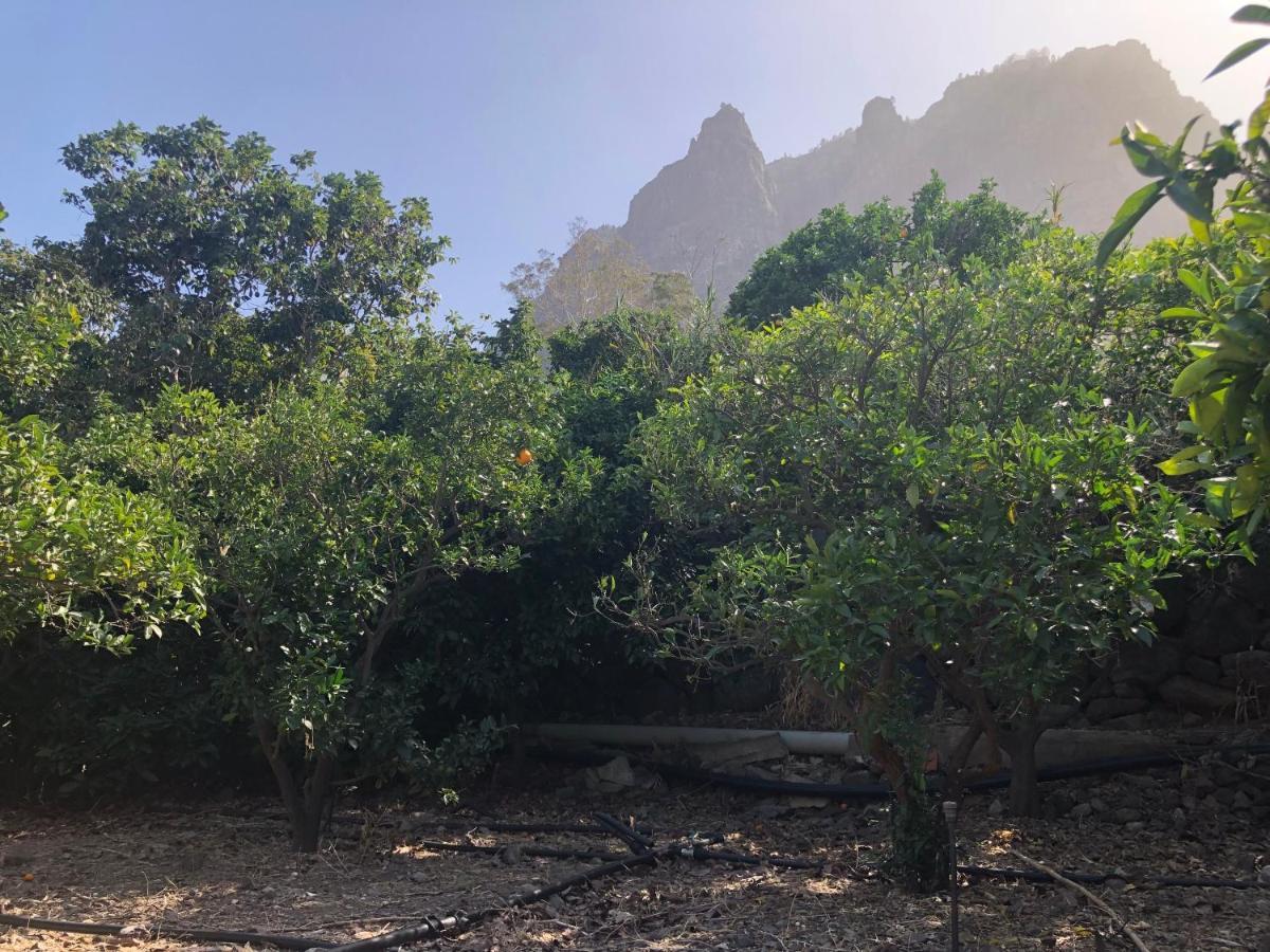 Apartmán Casa Camino Tamadaba Agaete  Exteriér fotografie