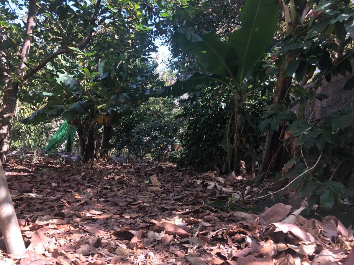Apartmán Casa Camino Tamadaba Agaete  Exteriér fotografie